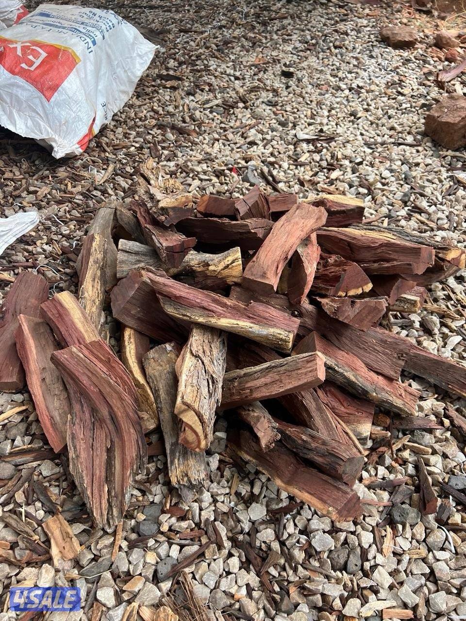 حطب أفريقي2