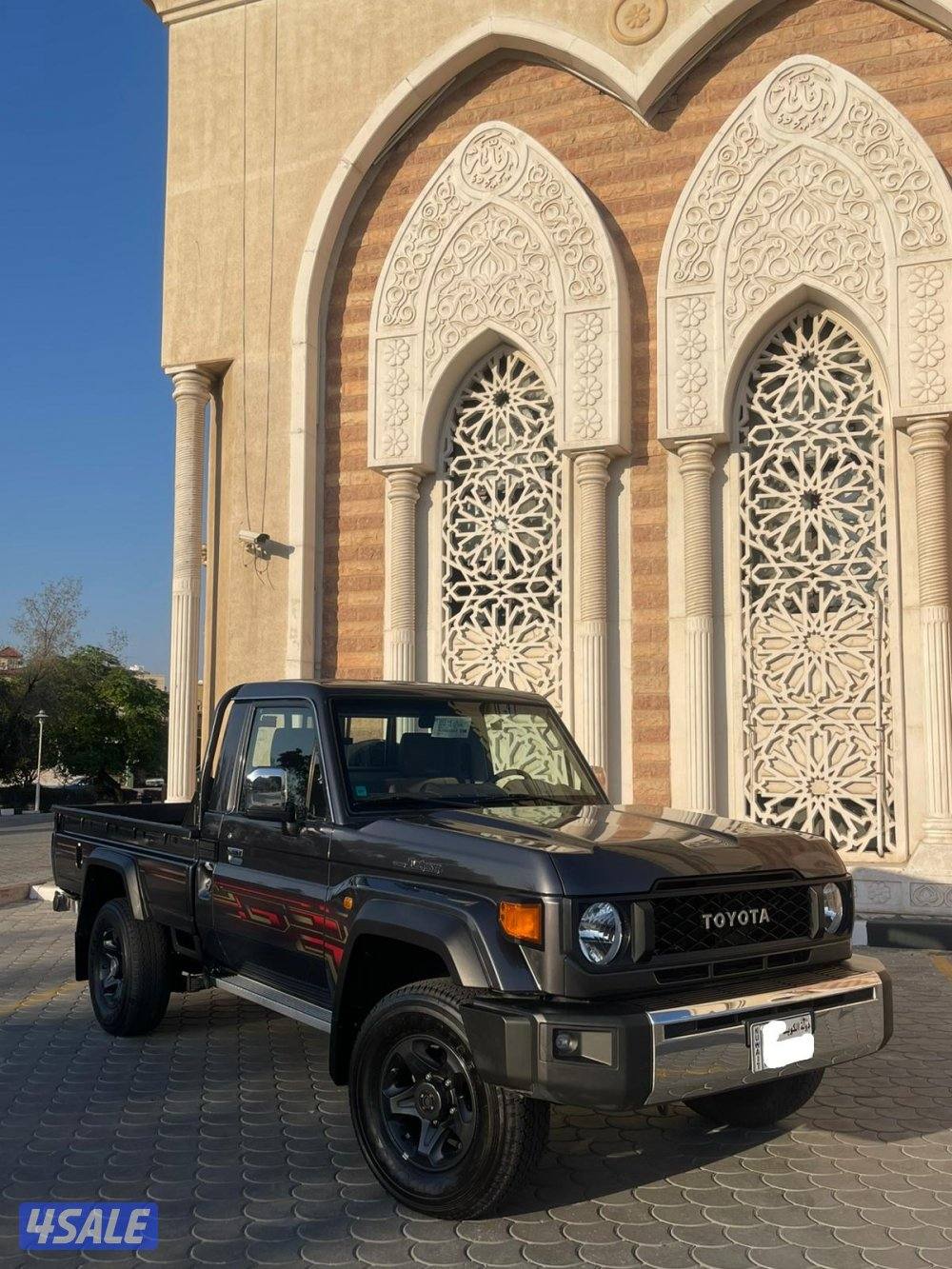 صبغ الوكاله تماتيك10