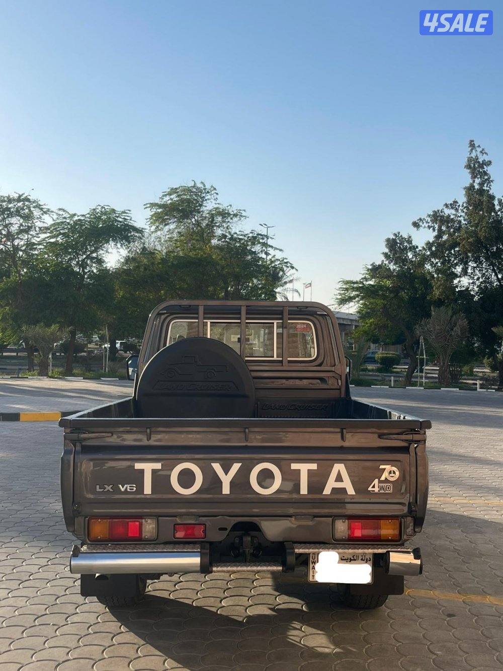 صبغ الوكاله تماتيك13