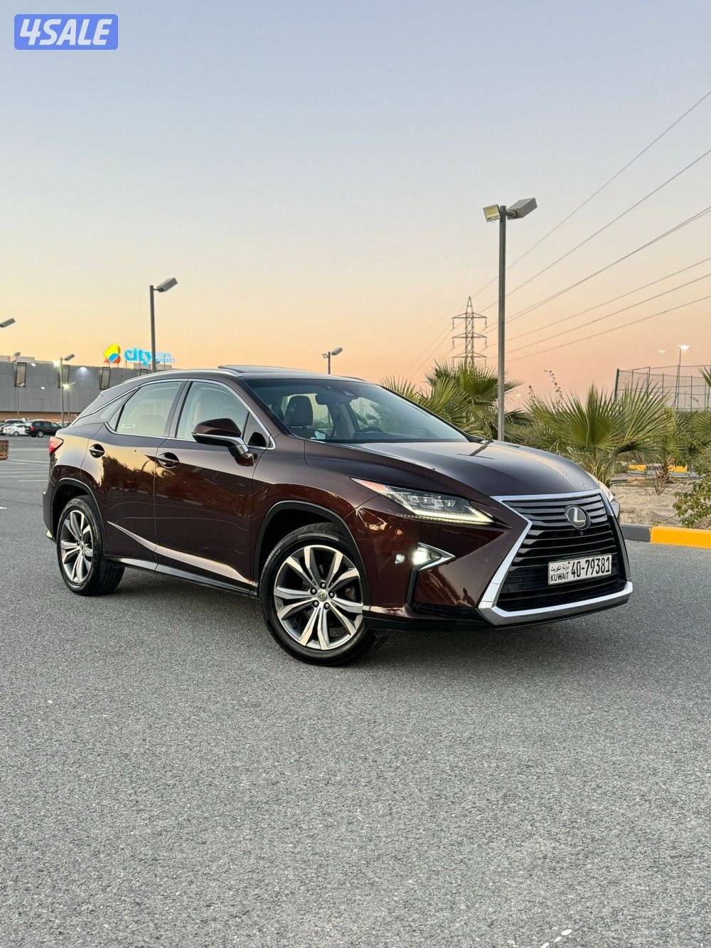 لكسز  RX350 موديل 2017 درجه اولي صبغ الوكاله6