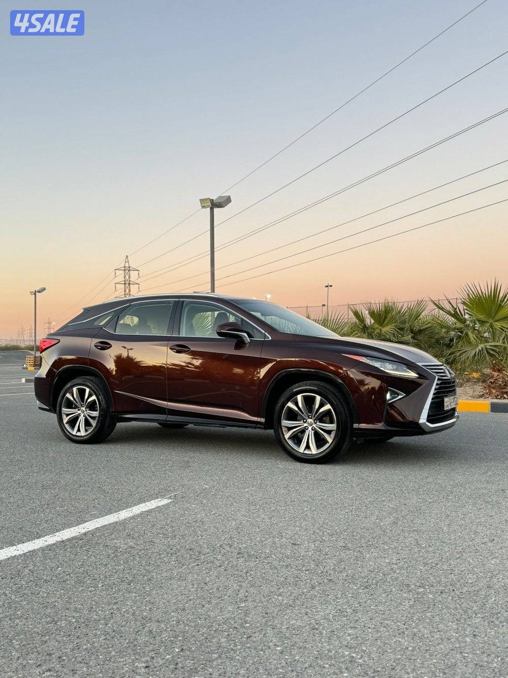 لكسز  RX350 موديل 2017 درجه اولي صبغ الوكاله7
