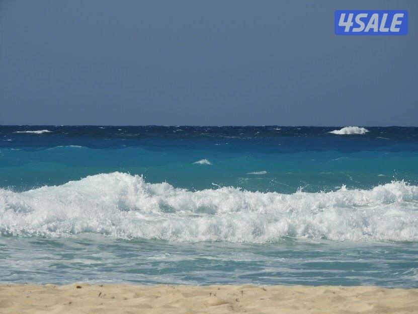 مطلوب موظفات حنسيات مصريه وشاميه فقط للعمل بشركه بالسالميه1