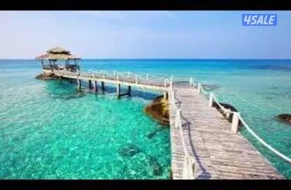 مطلوب موظفات حنسيات مصريه وشاميه فقط للعمل بشركه بالسالميه3