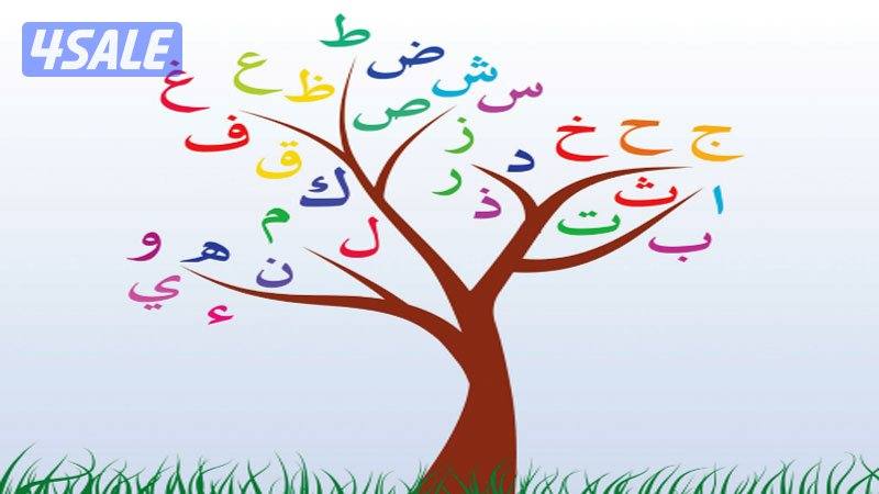 مدرس لغةعربيةلتأسيس الابتدائي والمتوسط والثانوي وتعليم القراءةوالكتابة3