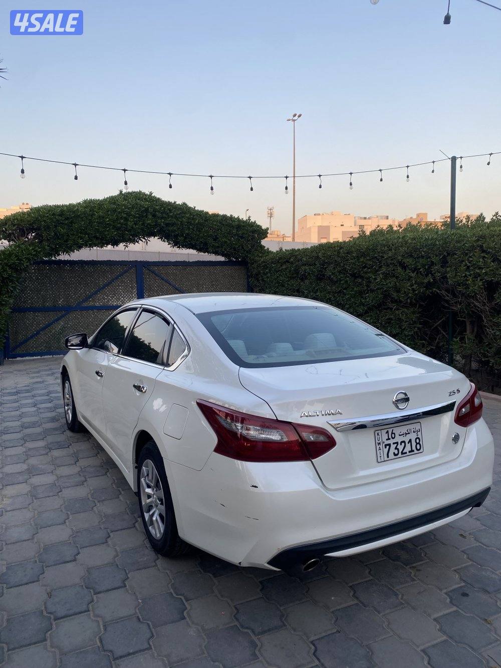 للبيع التيما1