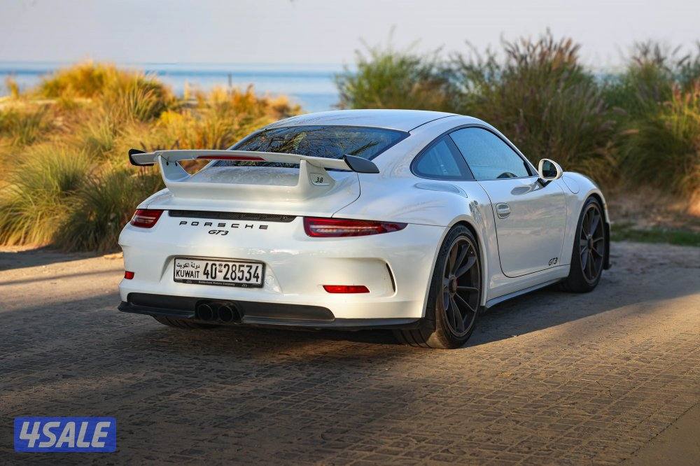 Porsche GT31