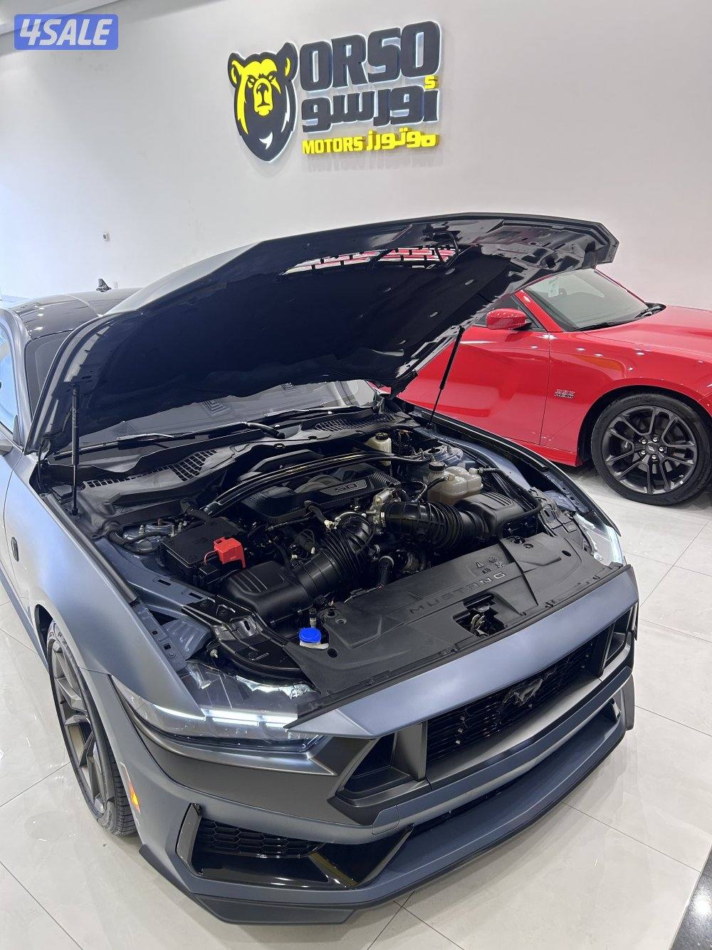 DARK HORSE ٢٠٢٤ ماشي ٢٢7