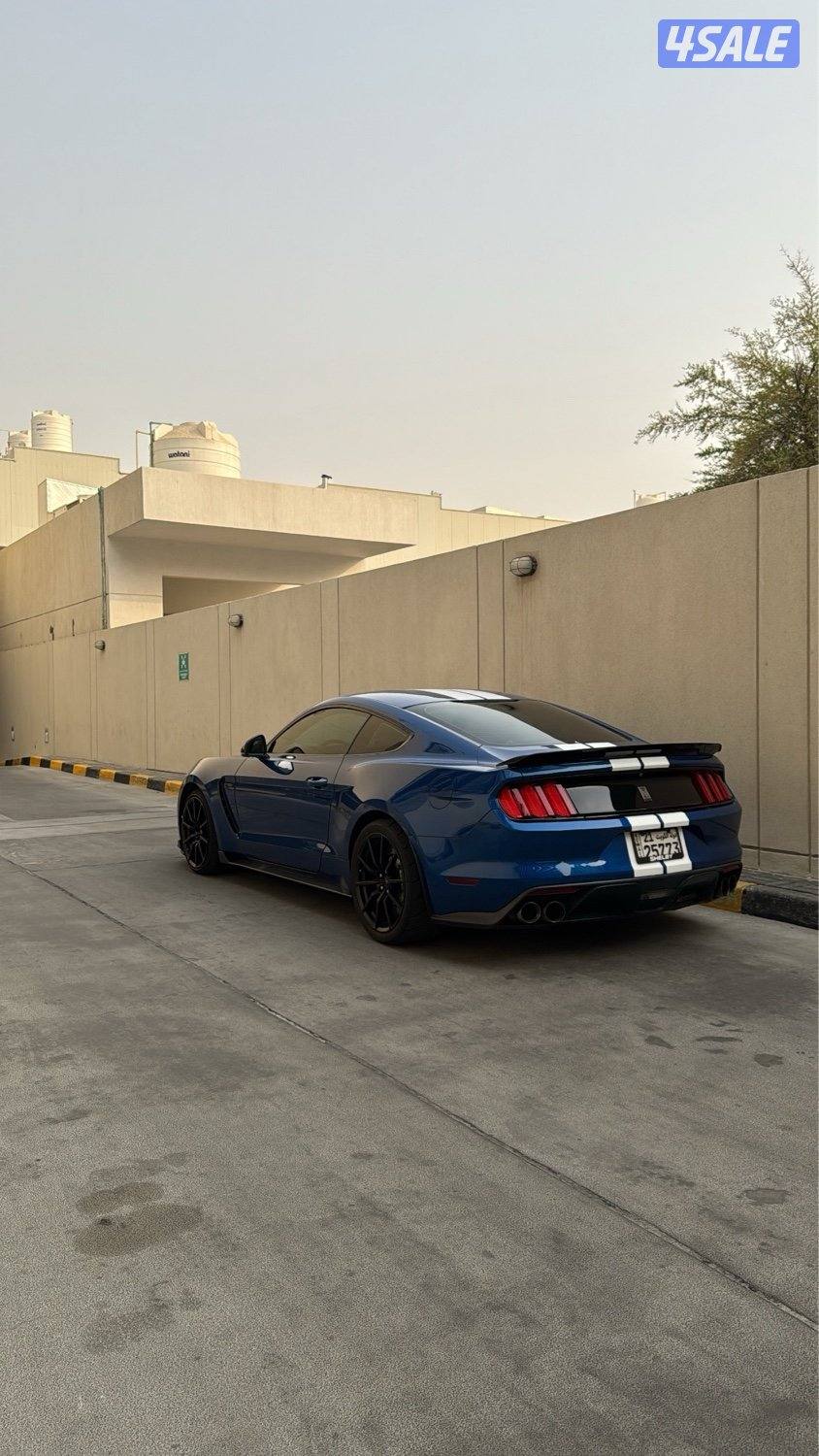 موستنق شلبي 350 ماشي ١٠٠ الف1