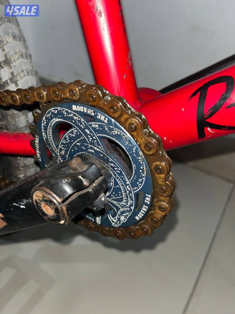 قاري dk كاستم1