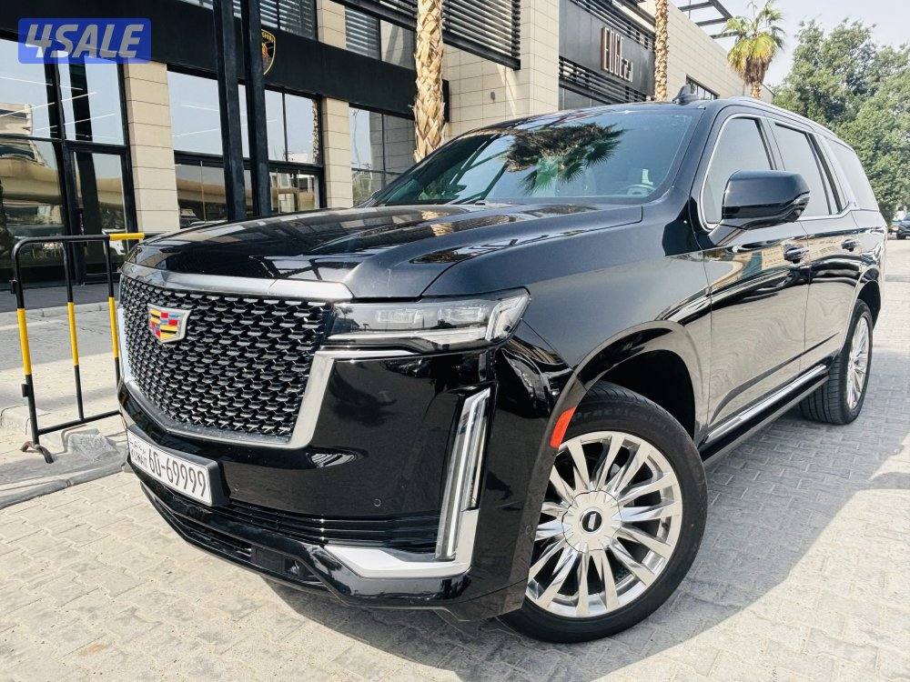 Cadillac Escalade model 20218