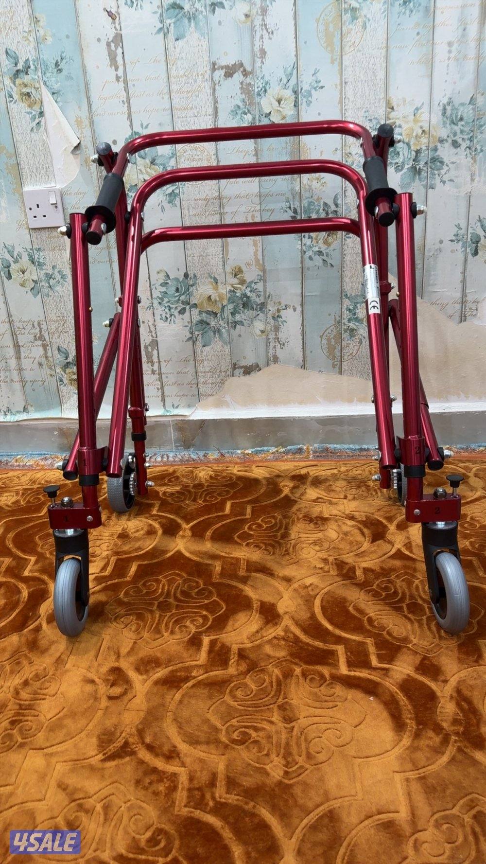 مشايه لكبار السن0