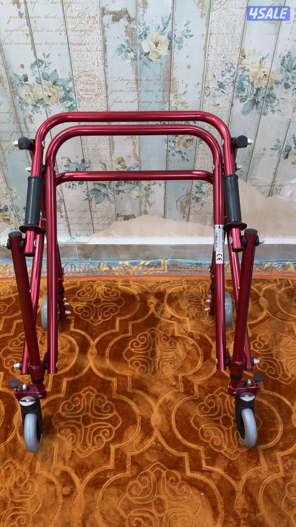 مشايه لكبار السن2