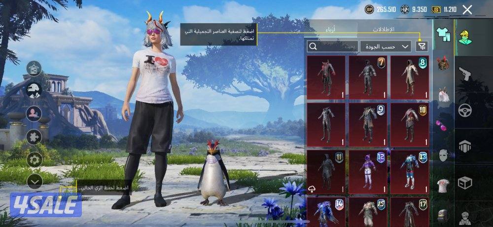 للبيع حساب ببجي لفل 80 و 10 g اسلحه كيل مسج وكونكرات2