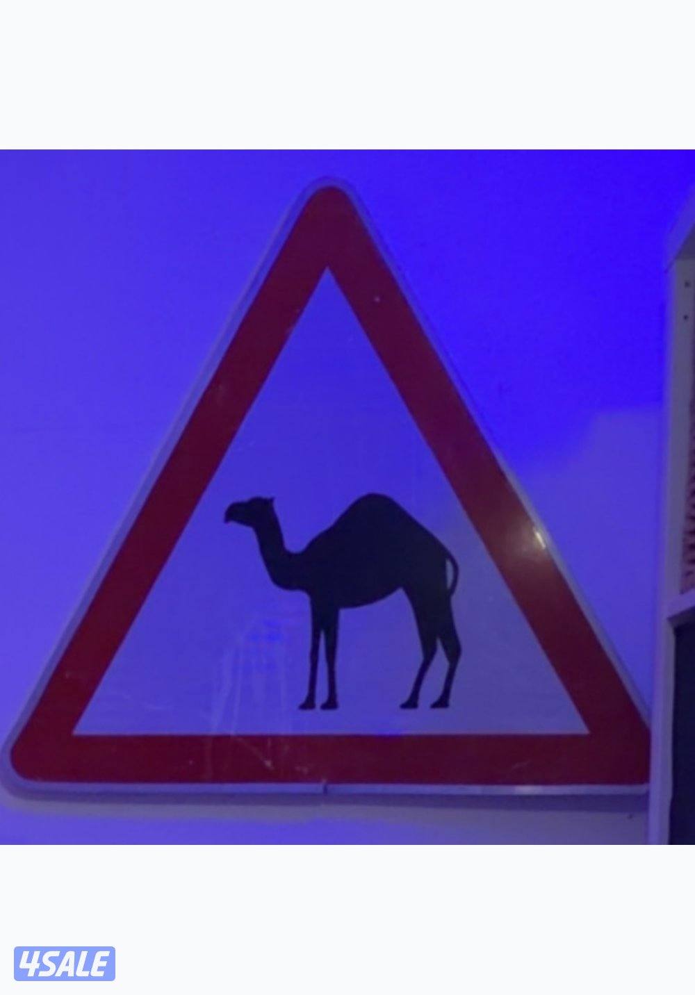 Camel street sign0