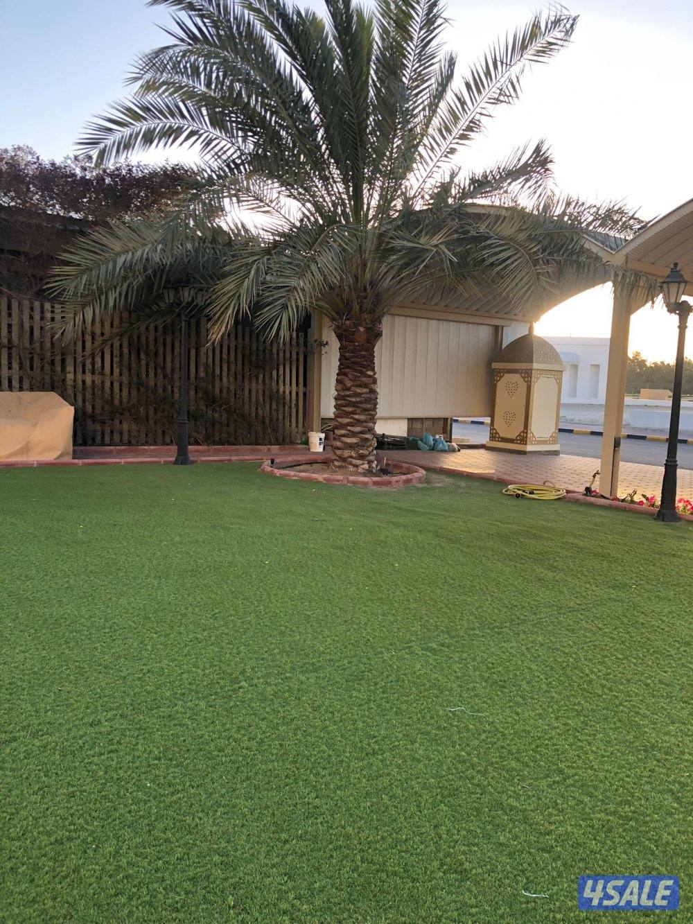 زراع انخل اهوازى تلقيح انخل وتنظيف وتكريب ل10