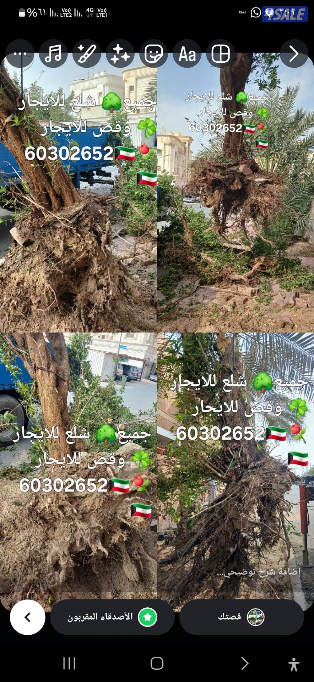 ابو علي🌴 جميع تلقيح النخيل 🌴🇰🇼🇰🇼 وجميع قص الاشجار🌲 اسعار مغري5