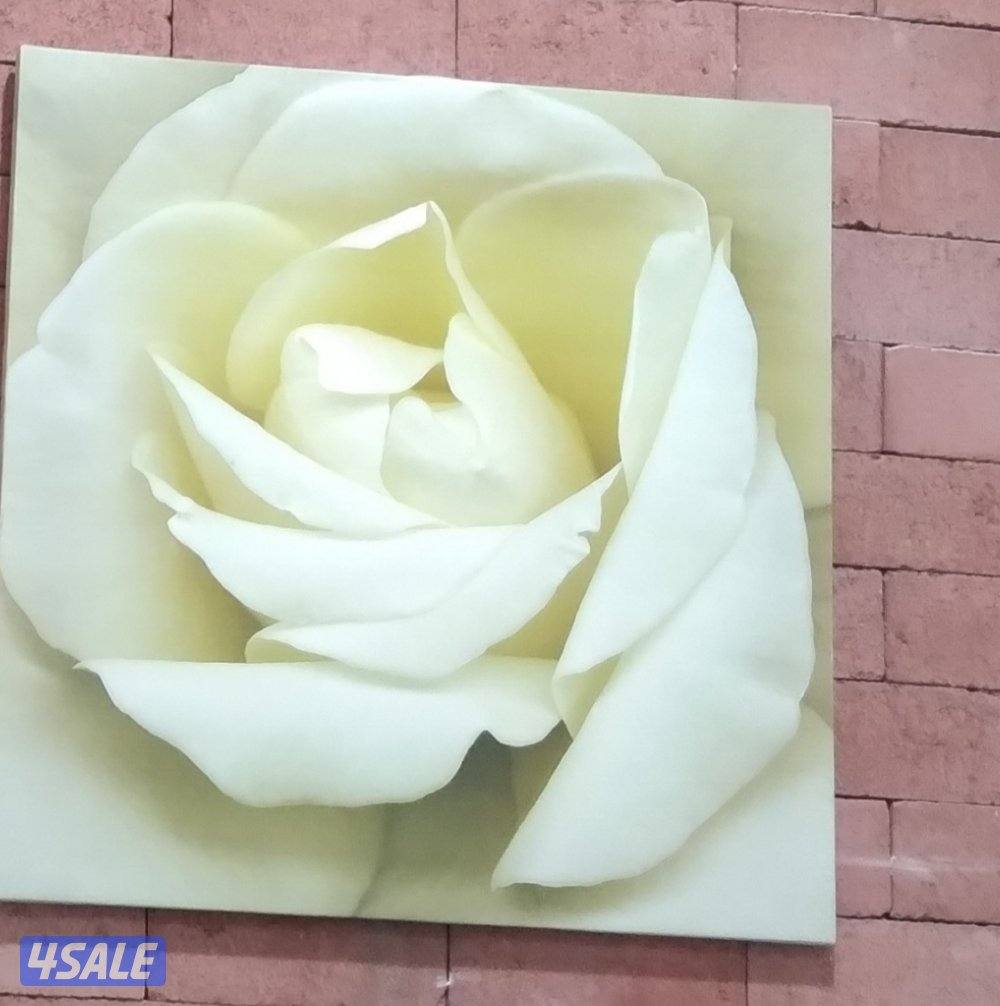 محاسب مصري خبره طويله بالكويت إلمام تام بكافه الأعمال المحاسبيه0