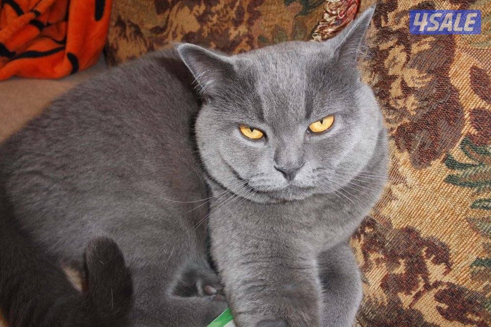 من اجمل كاميرات صور لها داخل مع اغراضها كامله1