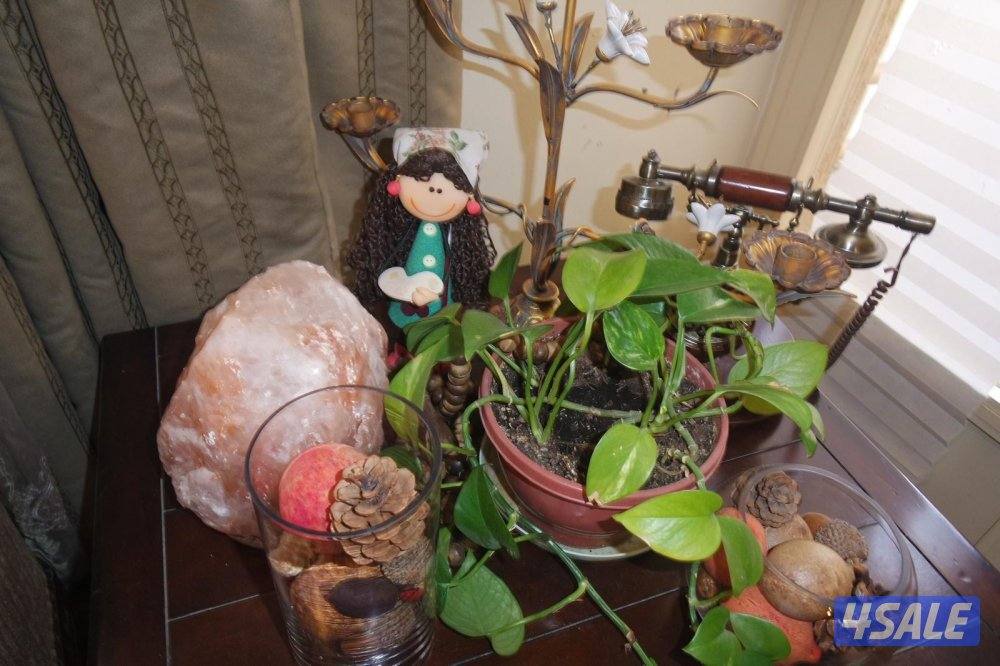 من اجمل كاميرات صور لها داخل مع اغراضها كامله6