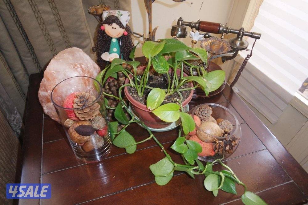 من اجمل كاميرات صور لها داخل مع اغراضها كامله9