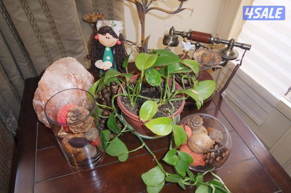 من اجمل كاميرات صور لها داخل مع اغراضها كامله10