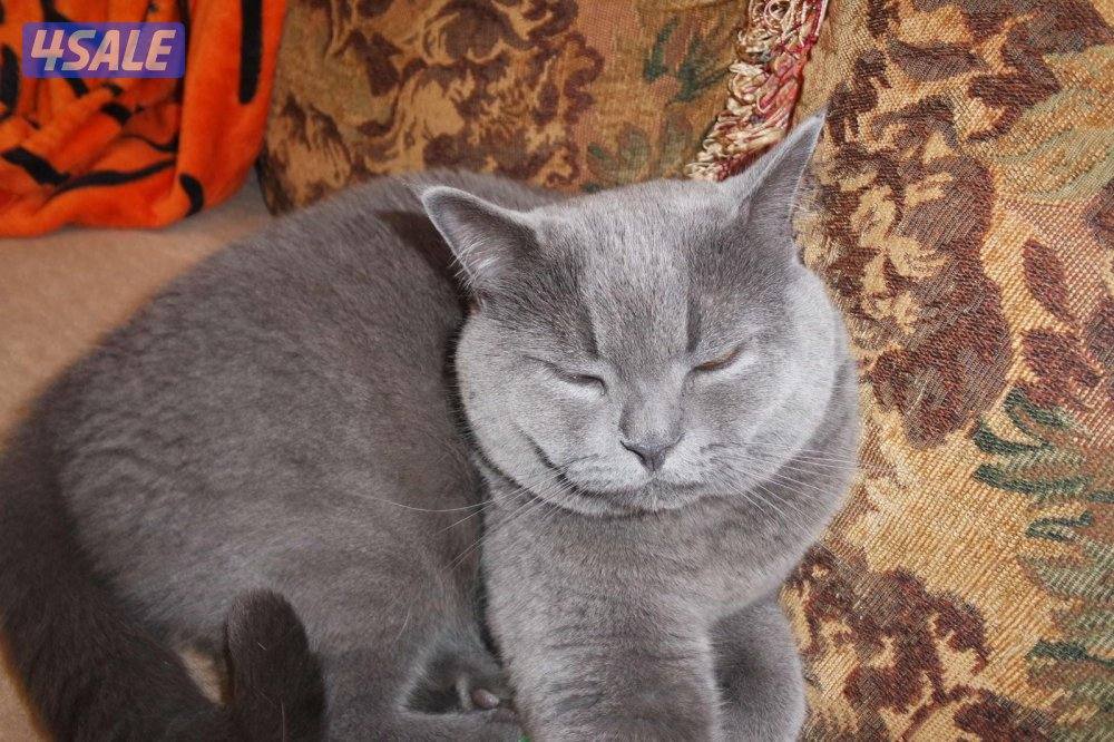 من اجمل كاميرات صور لها داخل مع اغراضها كامله15