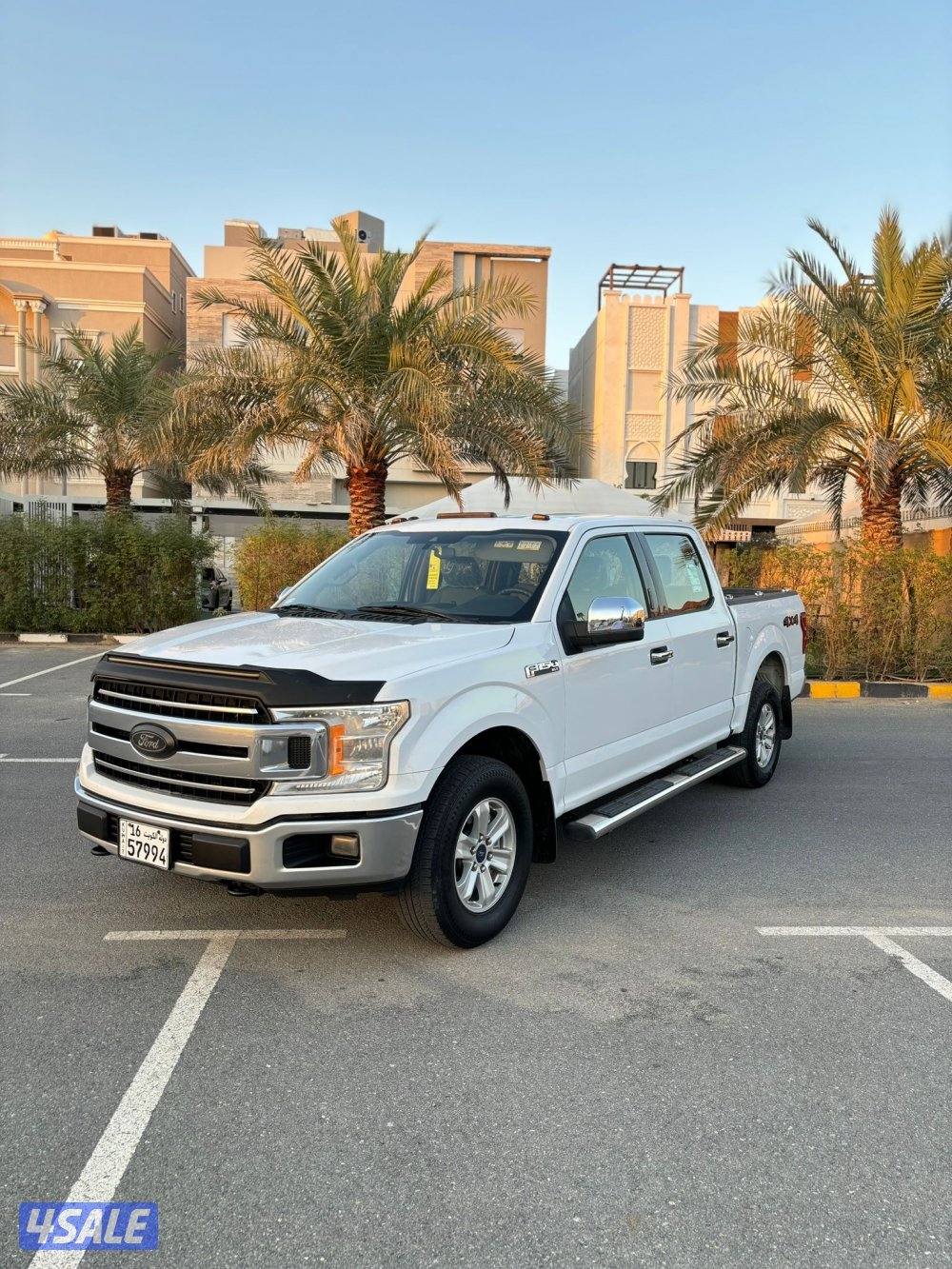 وانيت فورد صبغ الوكاله0