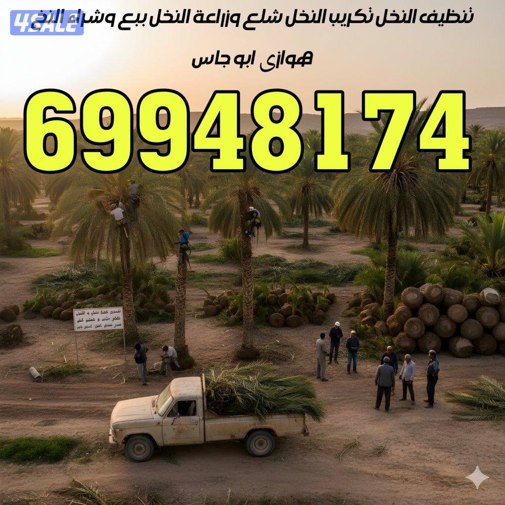 تنظيف النخل تكريب النخل شلع وزراعة النخل ببع وشراء النخل هوازي ابو جاس0