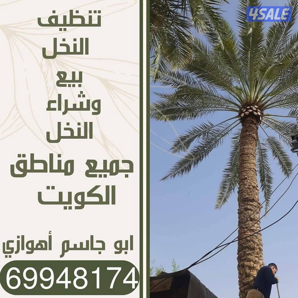 تنظيف النخل تكريب النخل شلع وزراعة النخل ببع وشراء النخل هوازي ابو جاس1