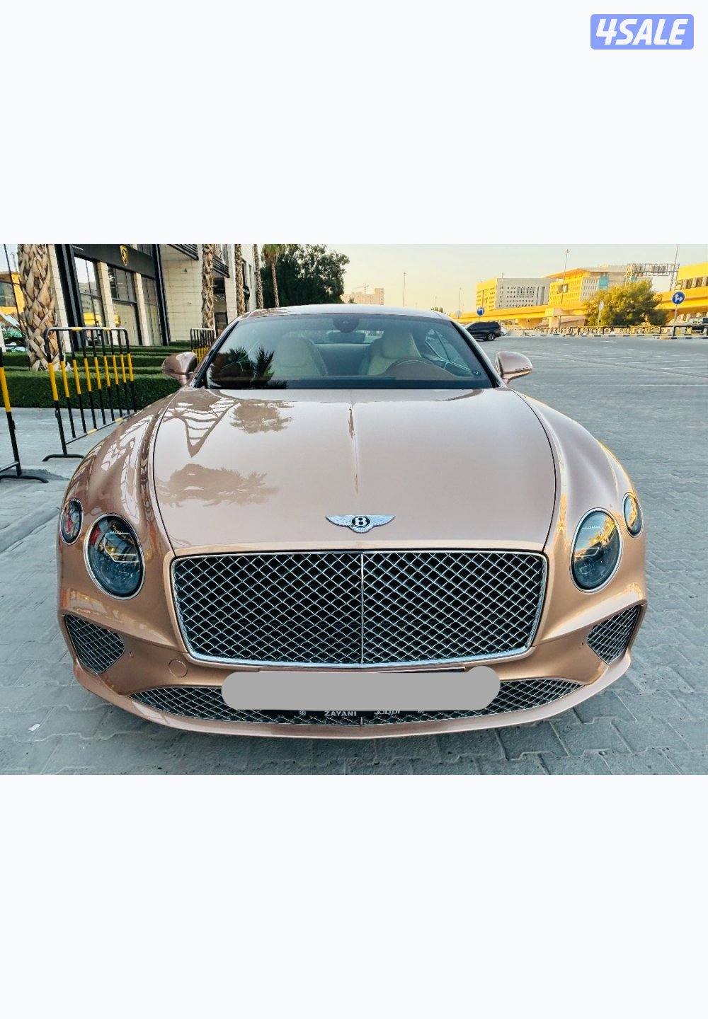 Bentely GT W12 model 201911