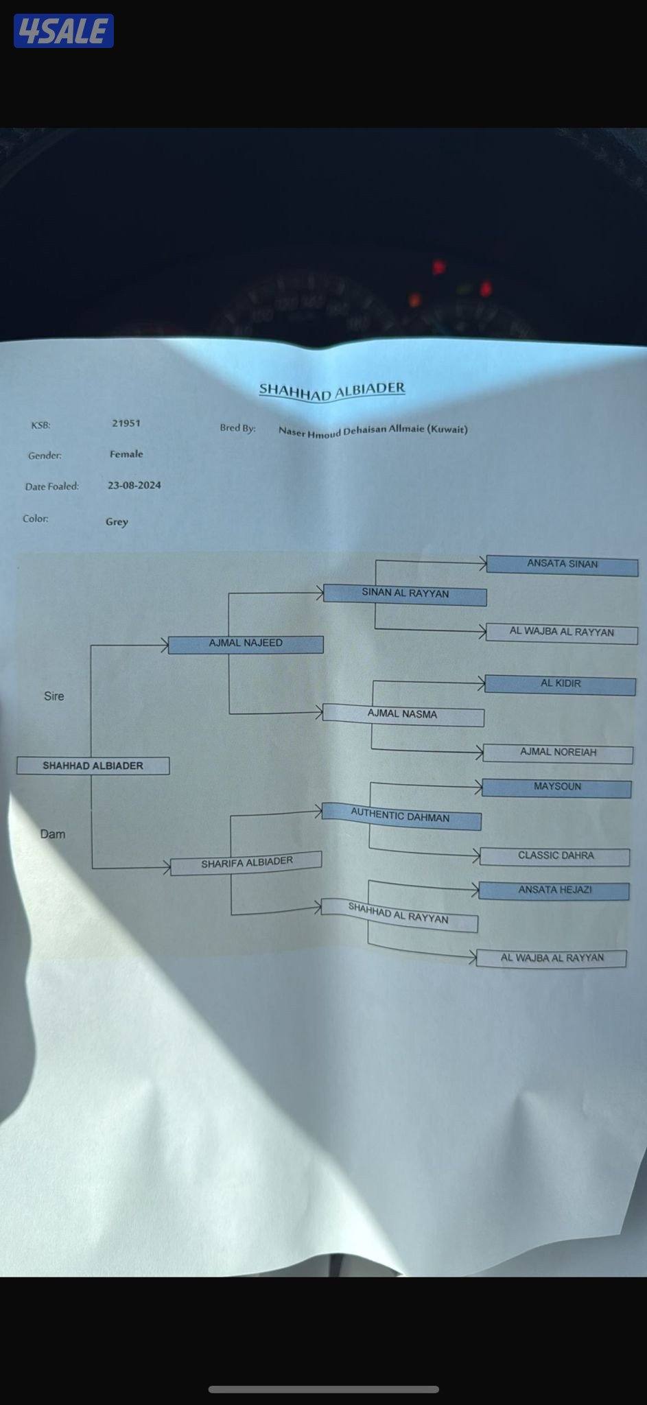 مهره مميزه0