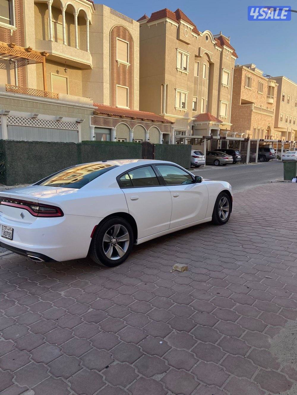 تشارجر 2021 صبغ الوكالة3