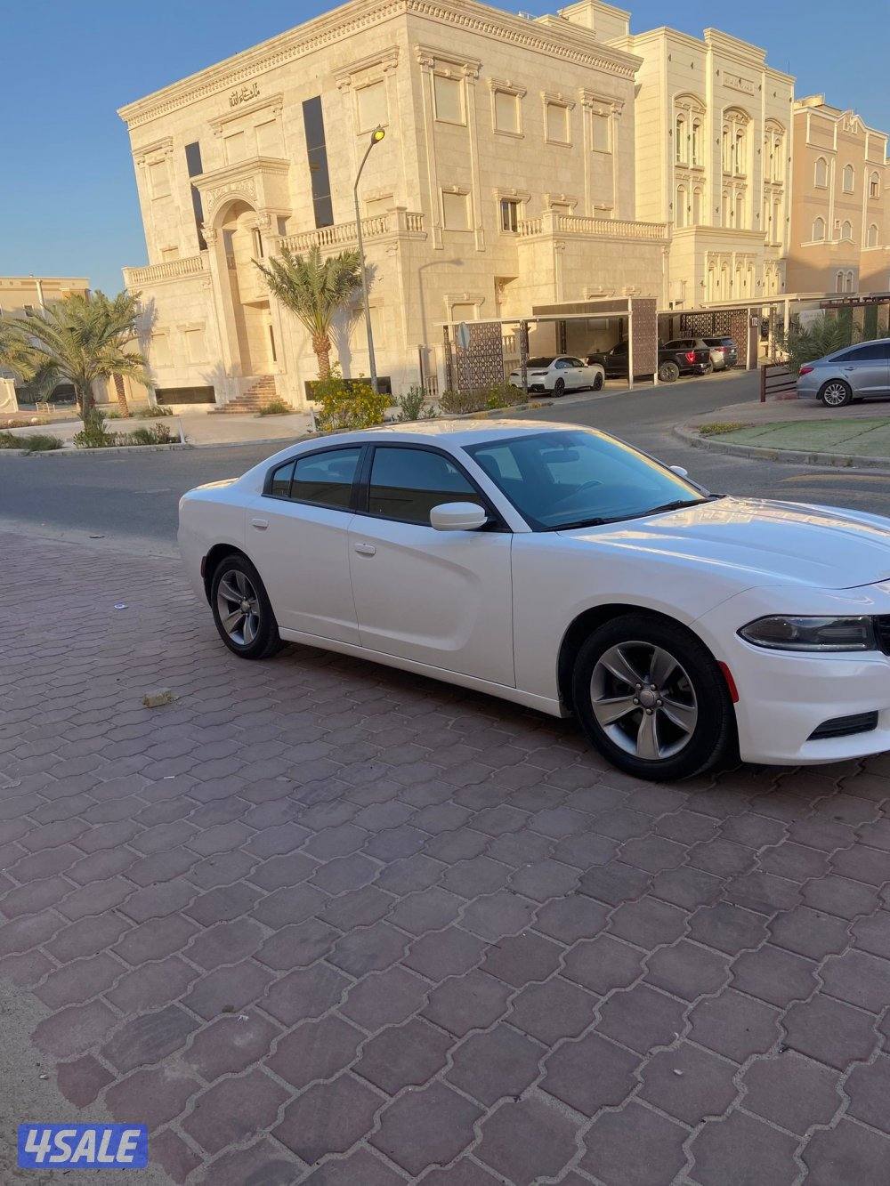 تشارجر 2021 صبغ الوكالة9