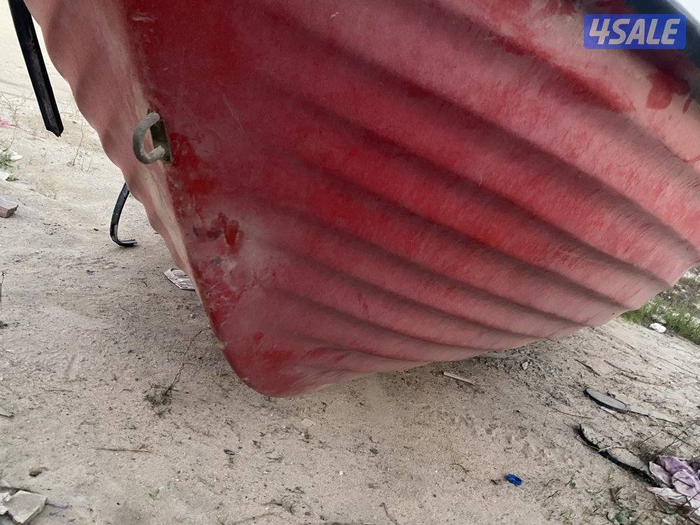 طراد هامور4