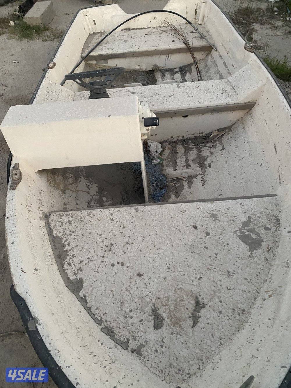 طراد هامور5