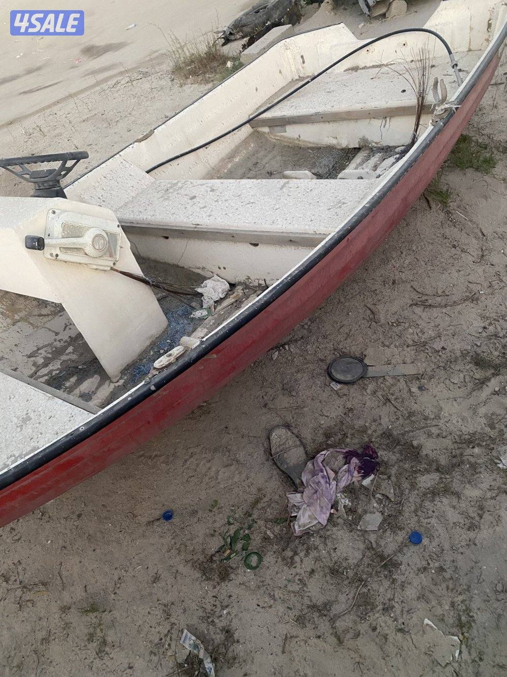 طراد هامور6