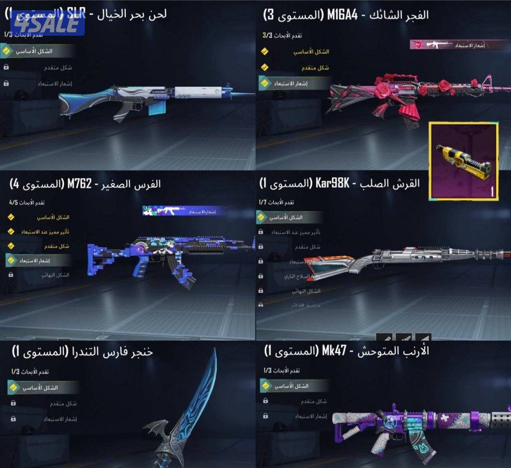 حسابات ببجي منوعه ~ مثك واسلحه✨🔫1