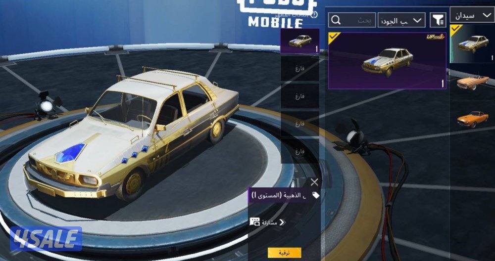 حسابات ببجي منوعه ~ مثك واسلحه✨🔫3