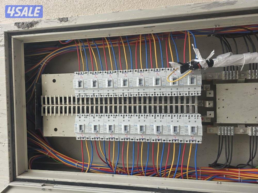 كهرباي  هندي جميع مناطق3