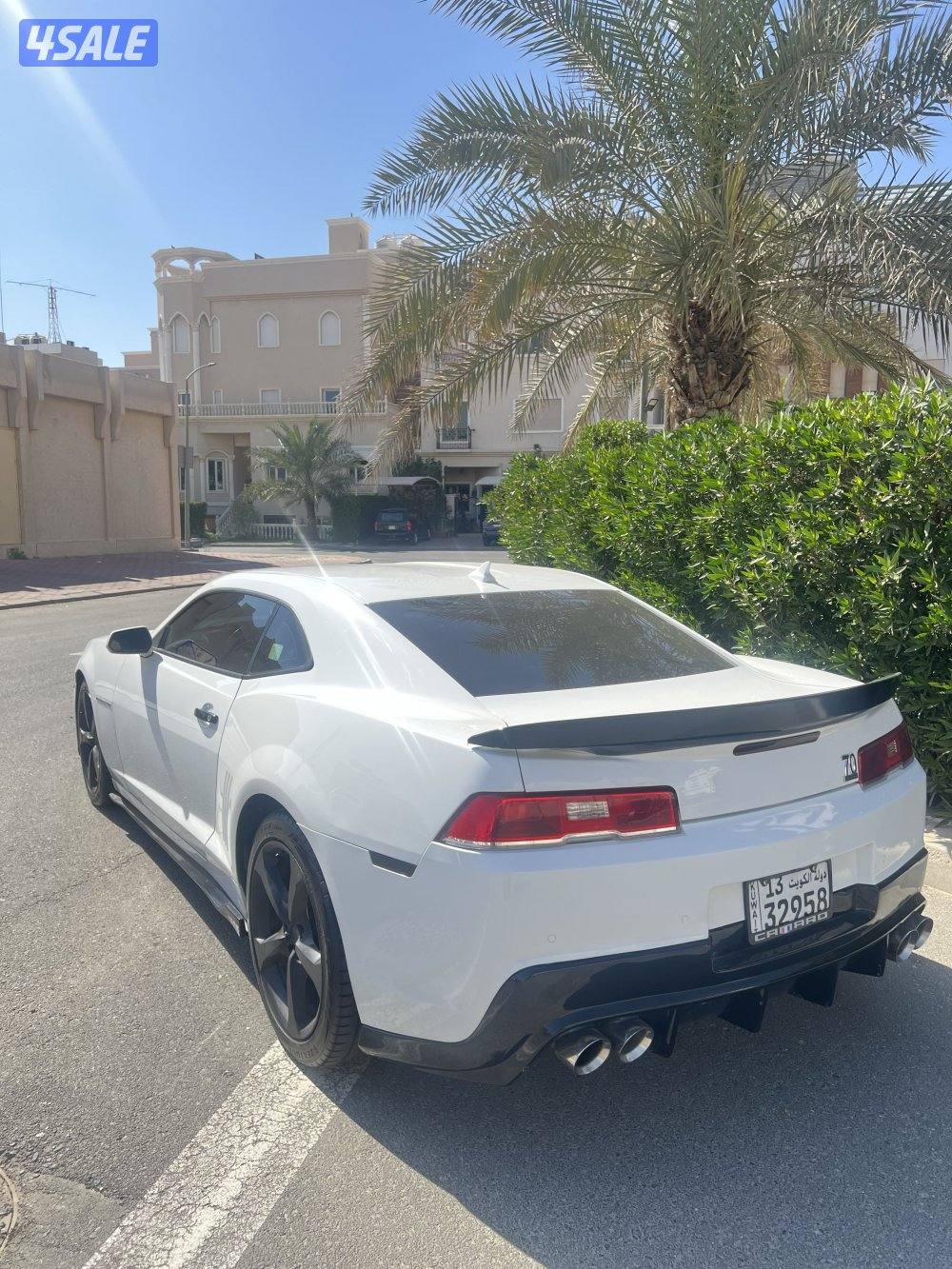 كمارو حاله فوق الممتازة5