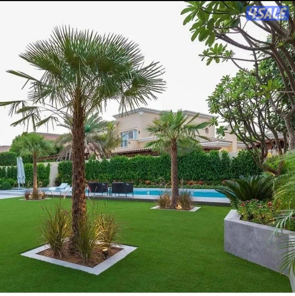 تنسيق حدائق الكويت2