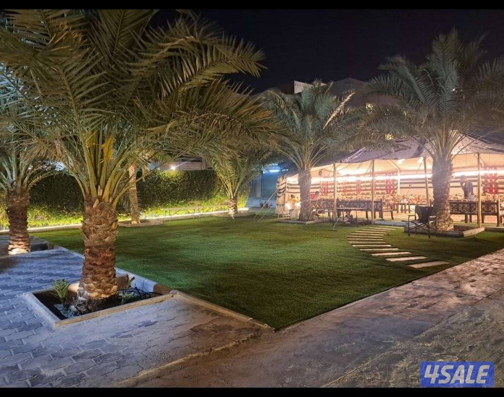 تنسيق حدائق الكويت3