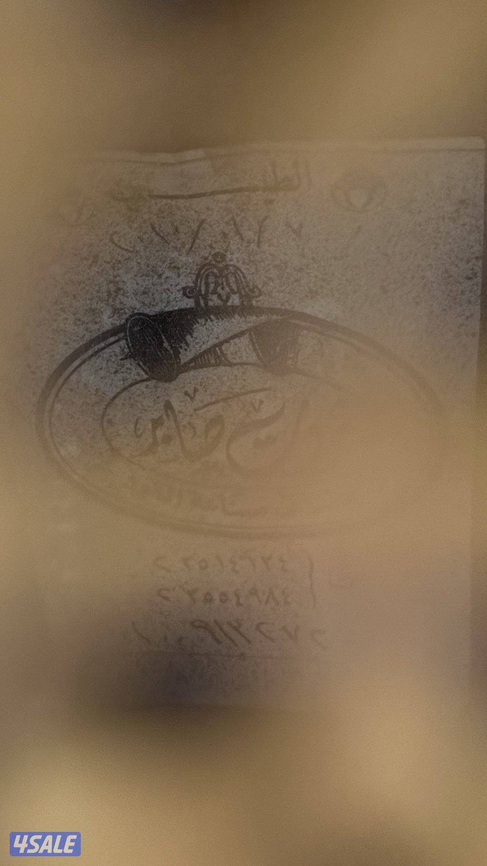 ثروت صابر 20106