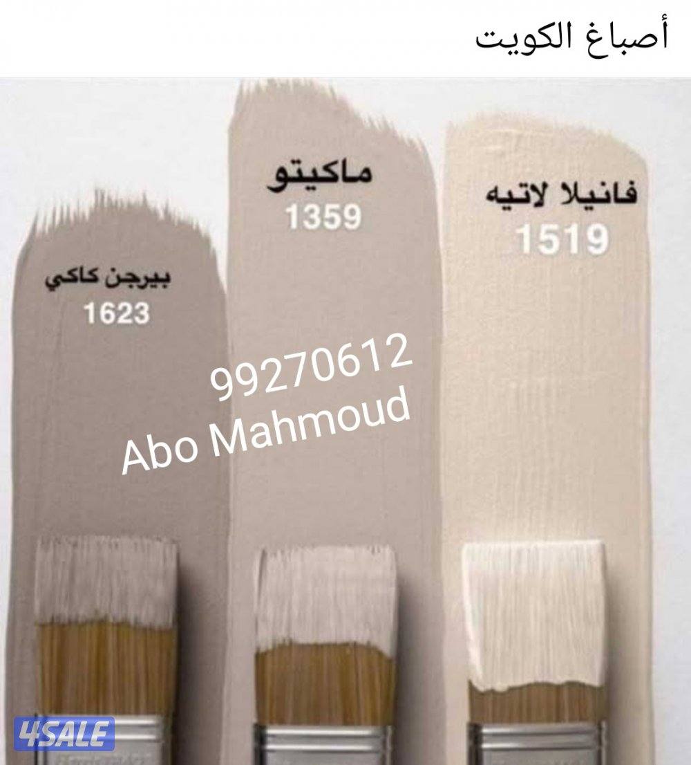 اصباغ وترميمات4