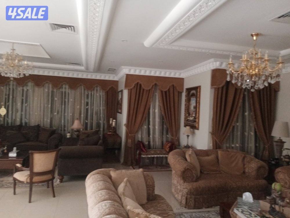 اصباغ وترميمات7