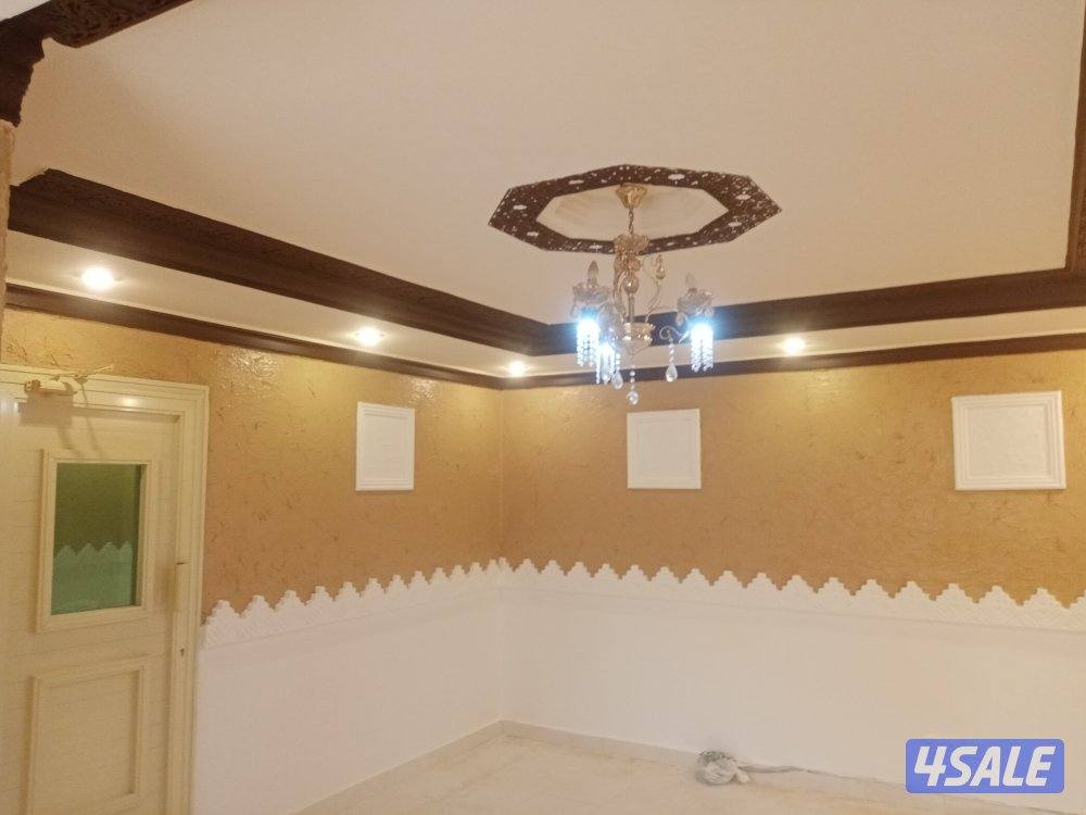 اصباغ وترميمات6