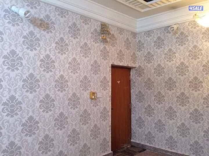 اصباغ وترميمات8