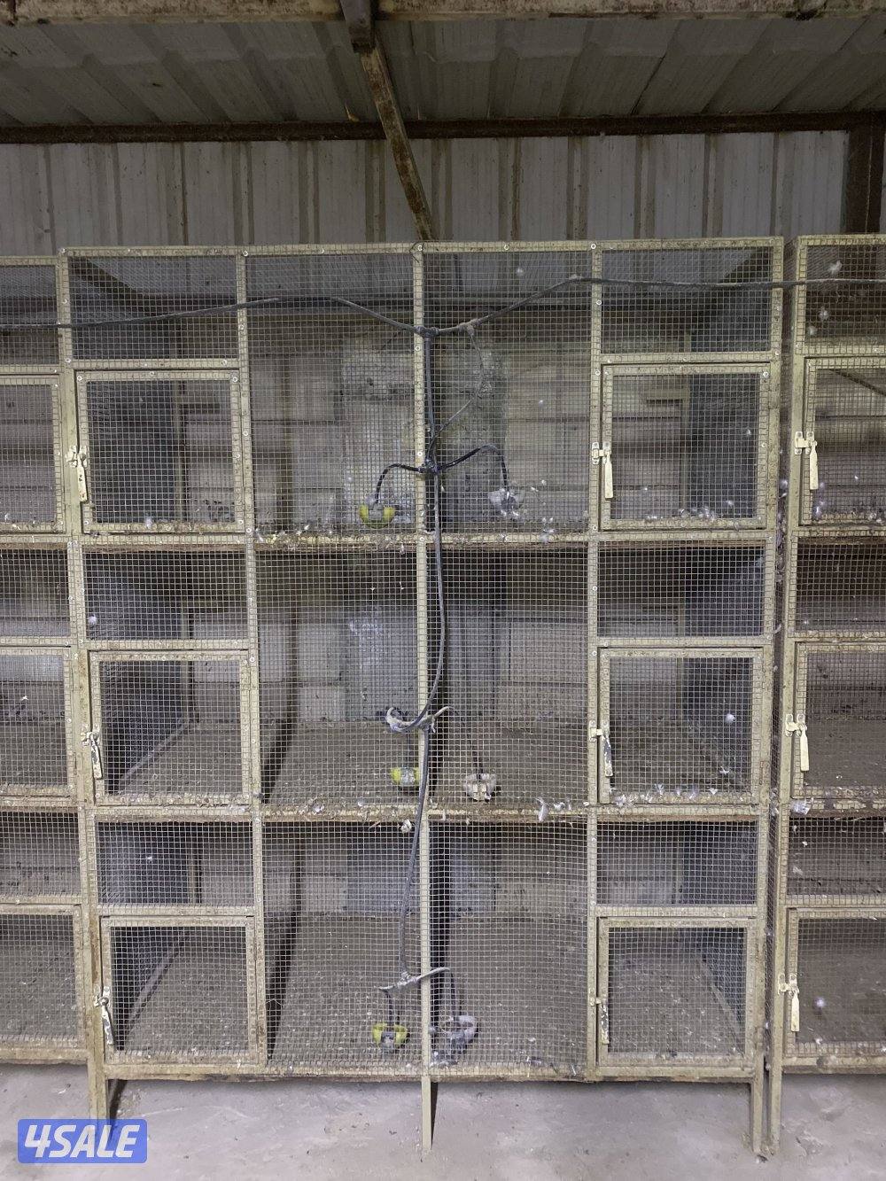 قفاص للدواجن او للحمام0