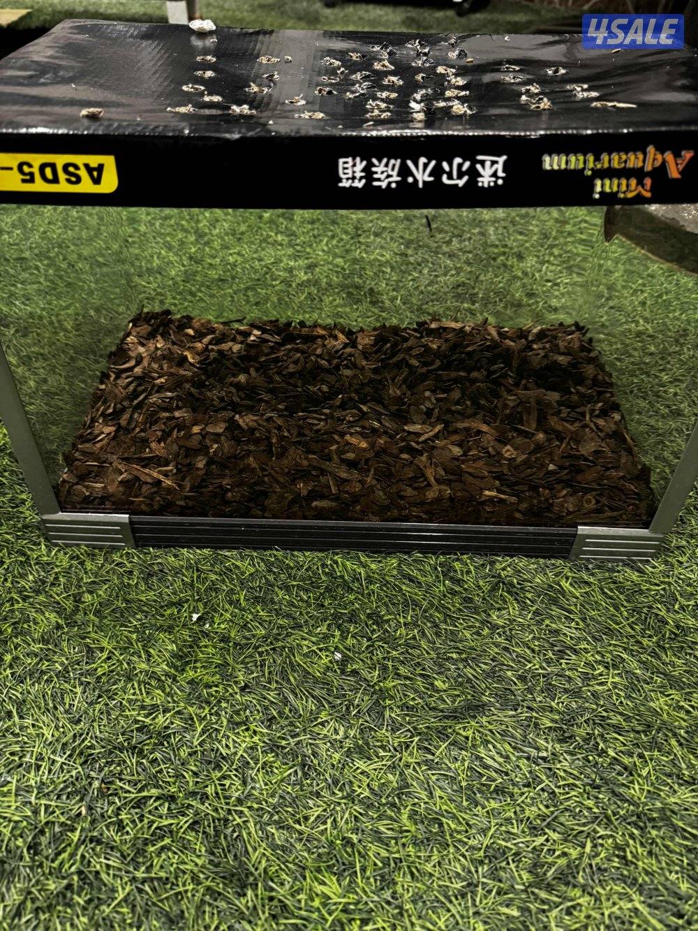 قفص زواحف زجاجي مع تراب مستعمل0