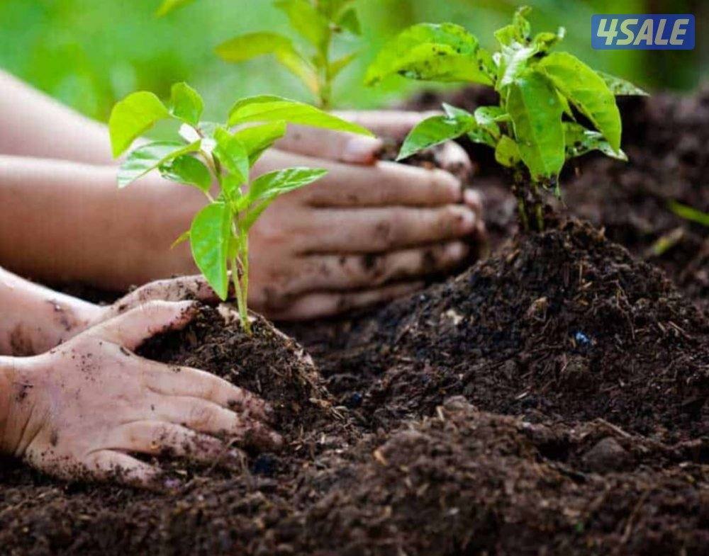 عامل سوداني0